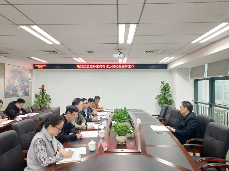1.16高朴常务莅临公司检查指导工作.jpg